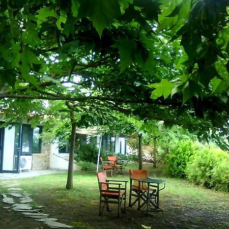 Country Art Studio Alkyoni Apartment Kókkinon Nerón Екстериор снимка